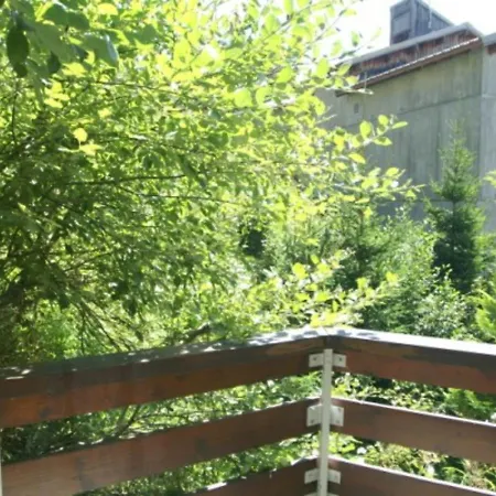 Confortable Avec Balcon Et Animaux Admis - Fr-1-557-108 *
